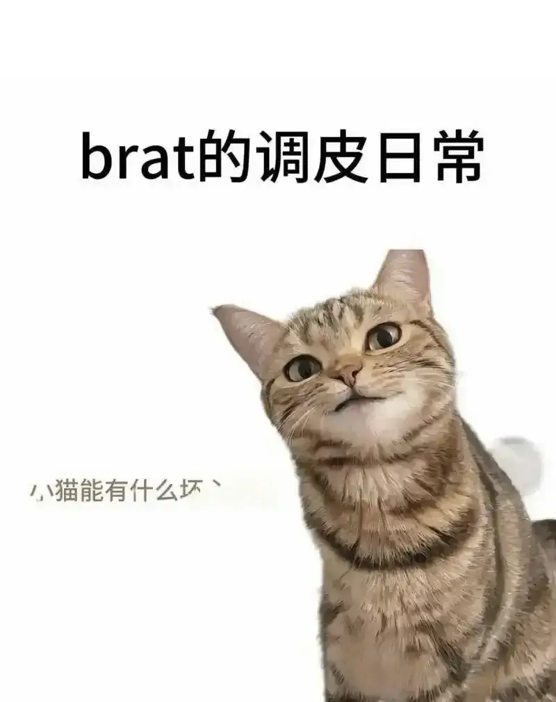 【西檬之家】- 字母圈新人入圈指南：理解BDSM基础术语与实践规范