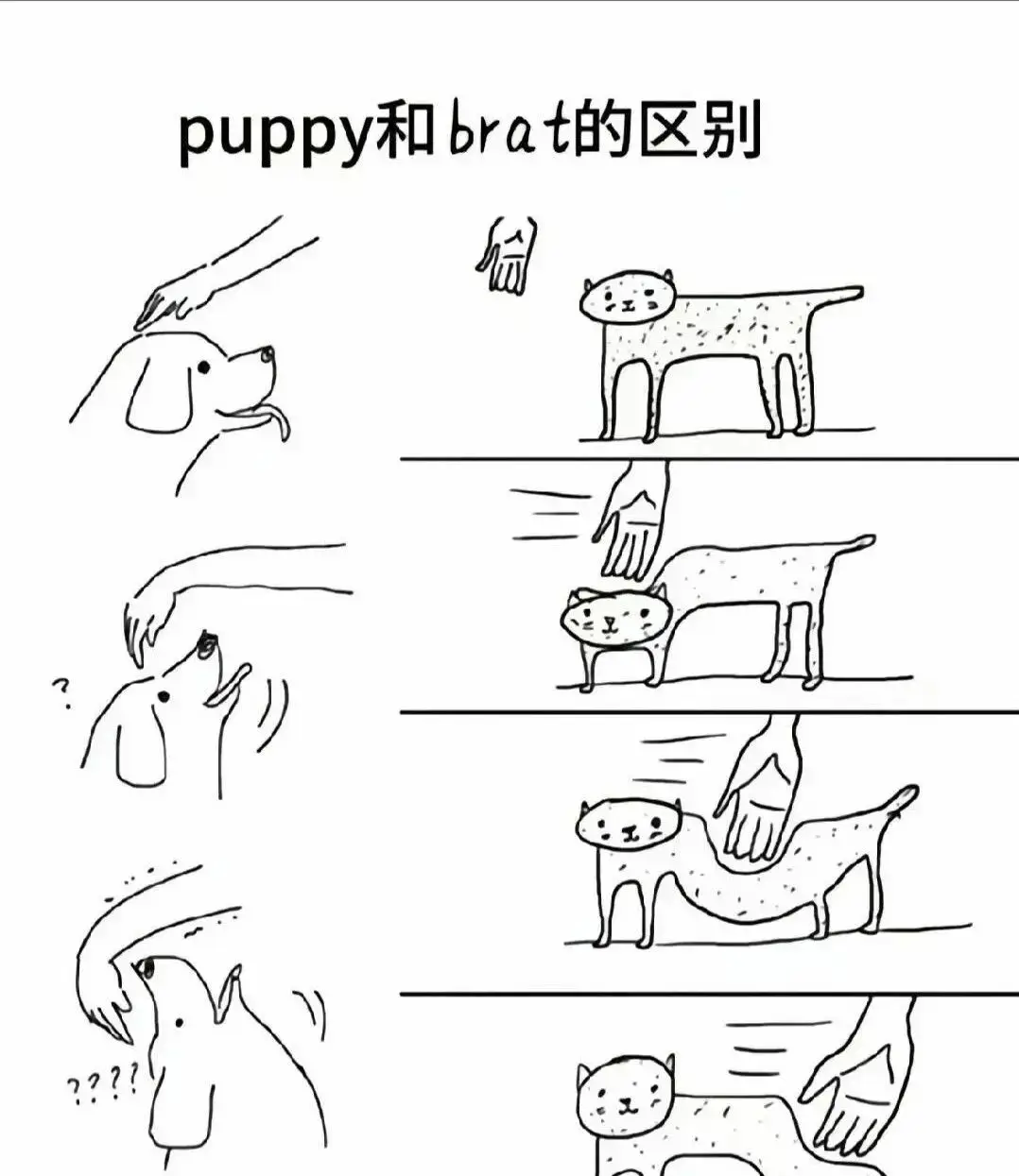 西檬之家-PE是什么？字母圈中Power Exchange的实践指南