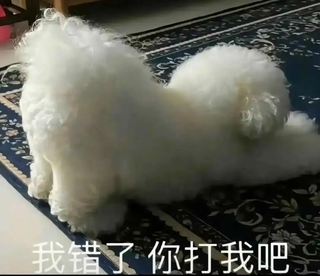 西檬之家-字母圈新人入圈指南，从BDSM初学到实践安全协议