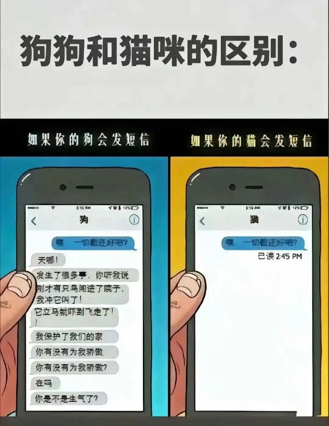 字母圈入圈 - 微信图片_20250713011414