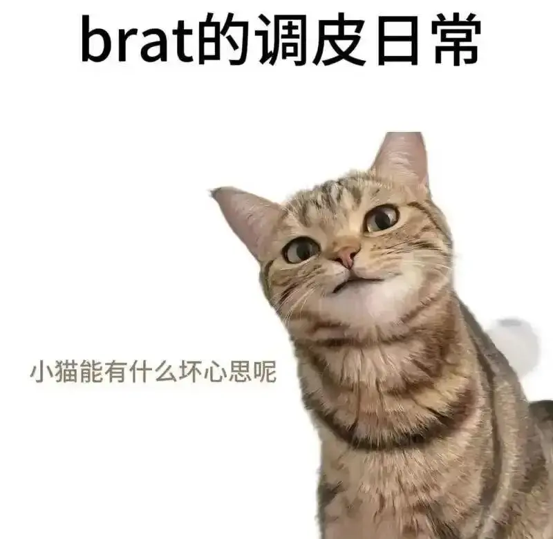 西檬之家-小圈是什么？小圈与大圈的区别及入门指南
