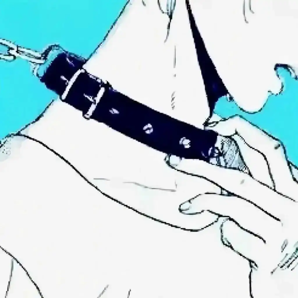 西檬之家-字母圈的BDSM入门指南