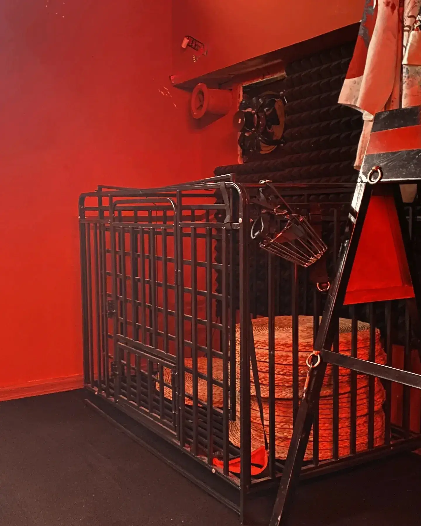 BDSM - 2025-11-14 000225